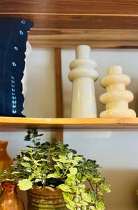 Decorative items on a wooden shelf with a plant in the foreground