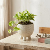 Striped mini tri-pot