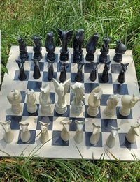 Chessboard with black and white chess pieces on a grassy background