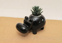 Baby hippo planter