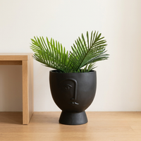 XLarge wide brimmed black planter