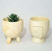 Two decorative ceramic planters with a succulent on a light gray background